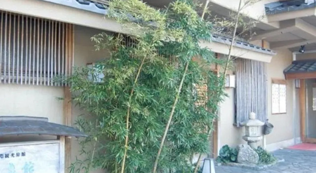 Номер Standard с красивым видом из окна Gero Onsen Kissenkan Chikusuitei