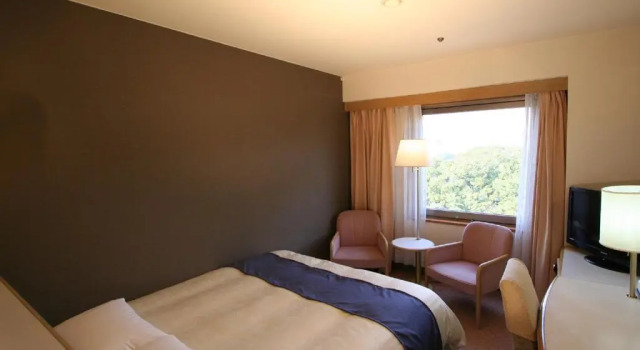 Двухместный номер Standard Tokyo Dai-ichi Hotel Matsuyama