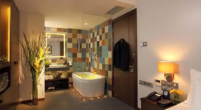 Одноместный номер Deluxe Silverland Sakyo Hotel