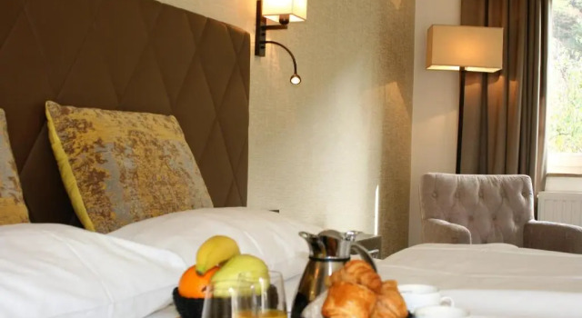 Двухместный номер Standard Cocoon Hotel La Rive
