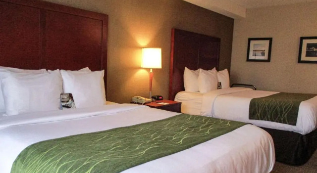 Четырёхместный номер Standard Цокольный этаж Comfort Inn Dartmouth