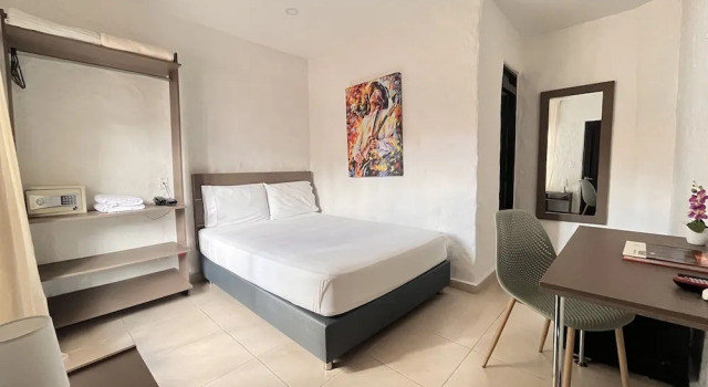 Номер Standard Hotel Vanguardia Natural