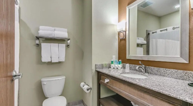 Номер Standard Holiday Inn Express & Suites Lubbock Southwest   Wolfforth by IHG