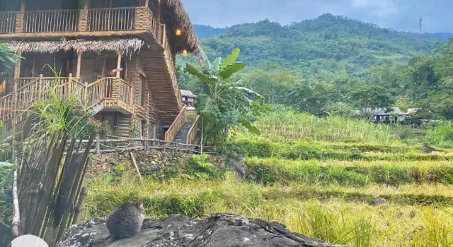 Номер Standard Pu Luong Jungle Lodge