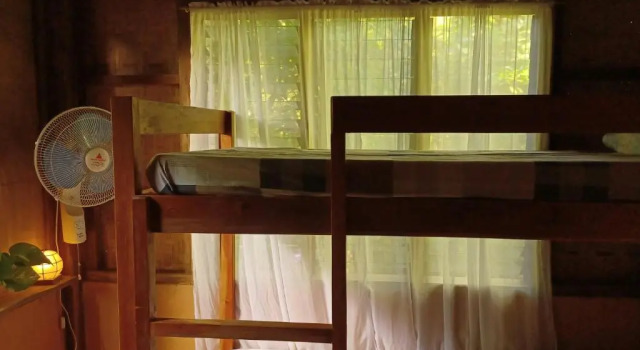 Lazy Lizard Hostel, Rezervovat Hostel Levné hotely v Siquijor Island