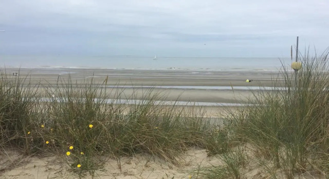 Апартаменты Les pieds dans le sable