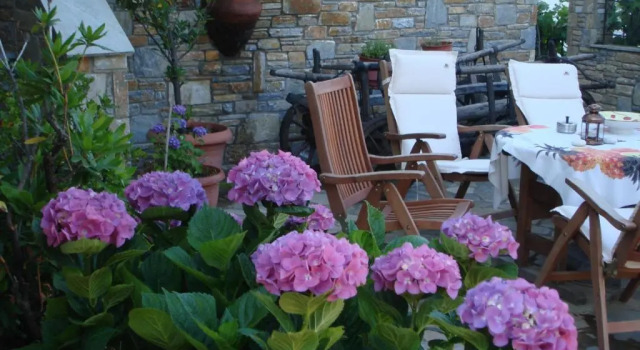 Вилла с панорамным видом Muses Country House