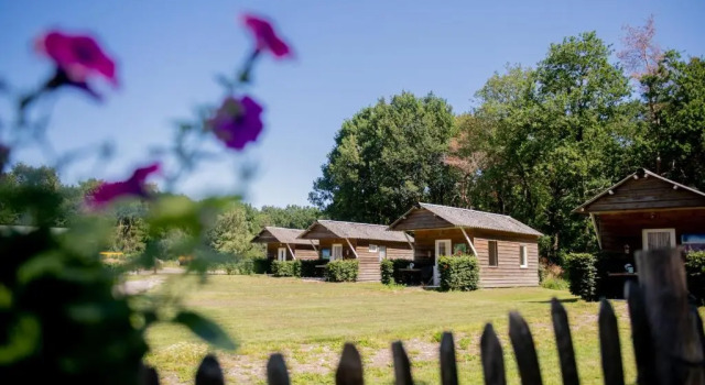 Номер Standard Natuurpoort van Loon