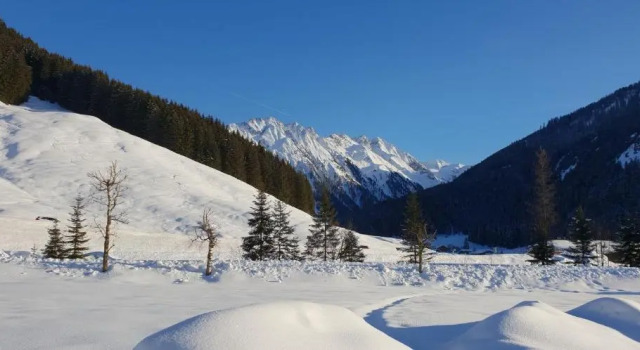 Номер Standard alpenrose hotel-garni