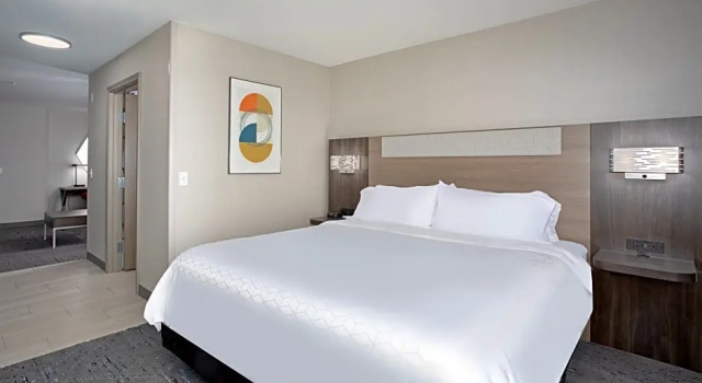 Двухместный люкс c 1 комнатой Holiday Inn Express Hotel & Suites Grand Junction by IHG