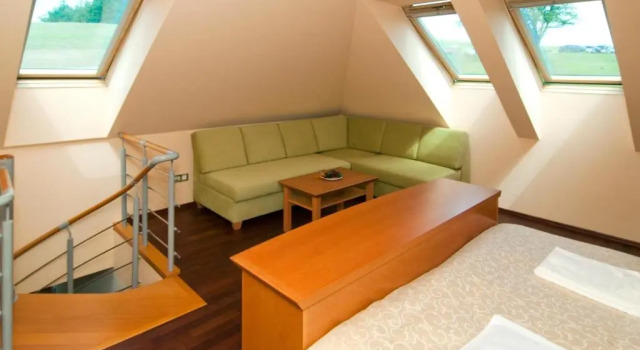 Номер Standard Heipark Tošovice