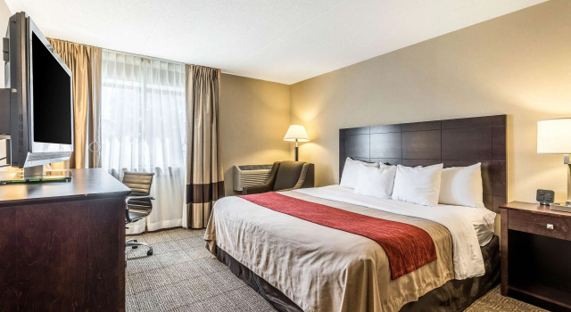Standard Doppel Zimmer Comfort Inn