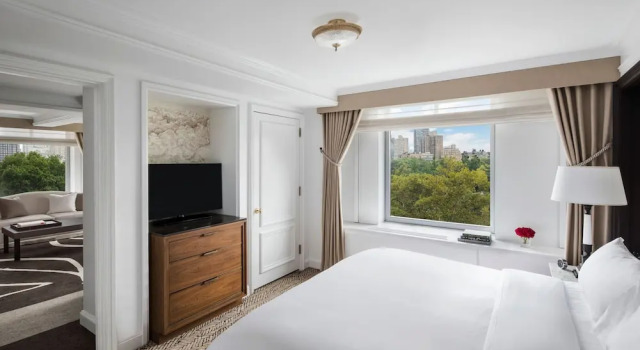 Двухместный клубный люкс с видом на парк The Ritz-Carlton New York, Central Park