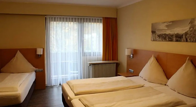 Трёхместный номер Standard Euro Park Hotel International