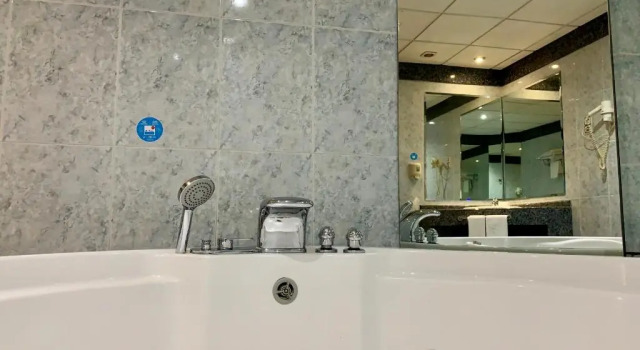 Люкс Hotel Humanes