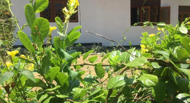 Kalindu Residence