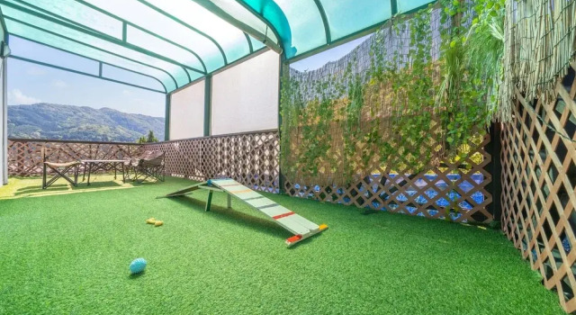 Номер Standard c 1 комнатой с балконом gapyeong beilli pet pool villa pension