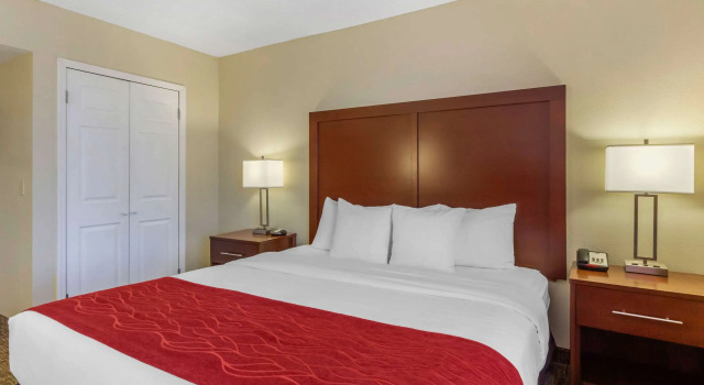 Двухместный номер Comfort Inn St Petersburg North