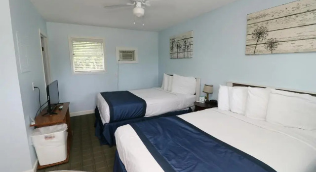 Четырёхместный номер Standard Birds Nest Resort