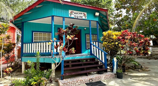 Номер Deluxe Blue Marlin Beach Resort