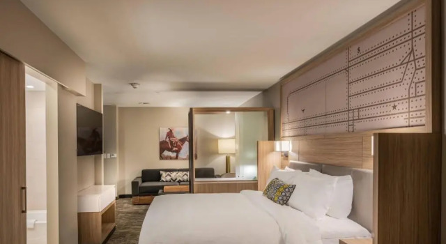 Двухместный люкс SpringHill Suites by Marriott Fort Worth Historic Stockyards
