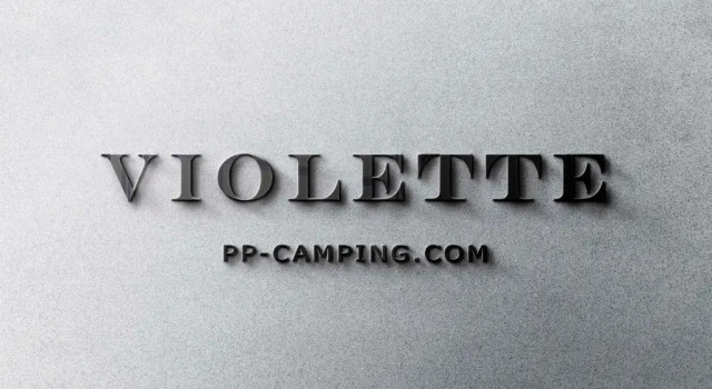 Номер Standard PP-Camping Wallersee