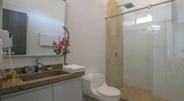 Апартаменты Superior El Cactus Luxury Apartments in Historic Center