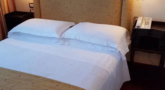Одноместный номер Comfort Hotel Biasutti