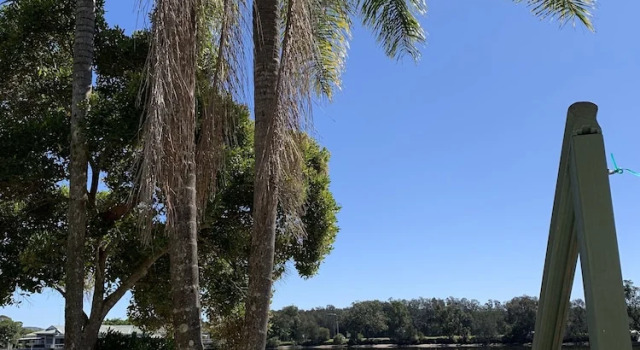 Бунгало c 1 комнатой с видом на воду Maroochy River Bungalows