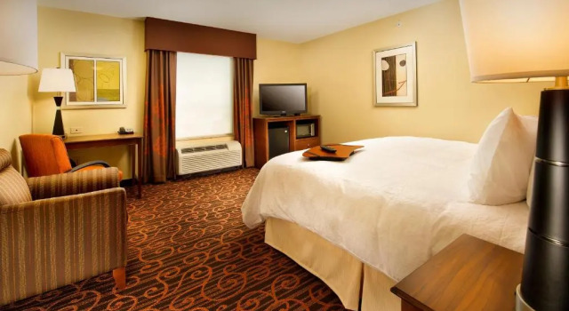 Студия Hampton Inn & Suites Selma-San Antonio/Randolph AFB