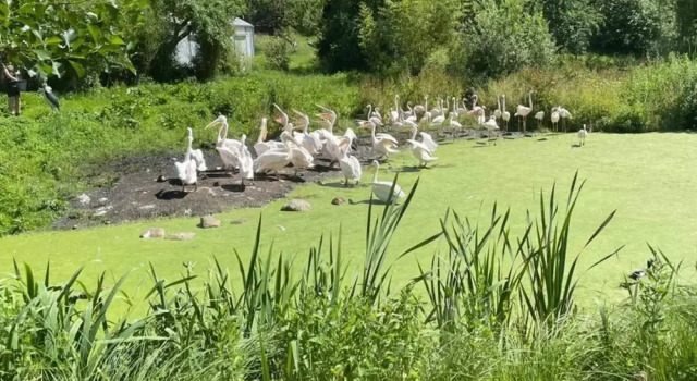7 Person Holiday Home in Ebeltoft, Rezervovat Rekreační dům Ebeltoft 
