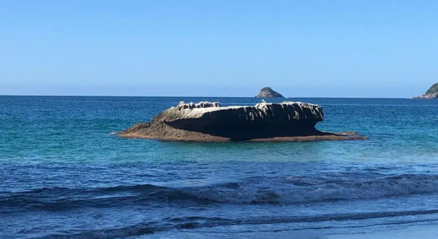 Коттедж Hahei Beach Bach