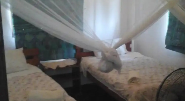 Albatroz Lodge