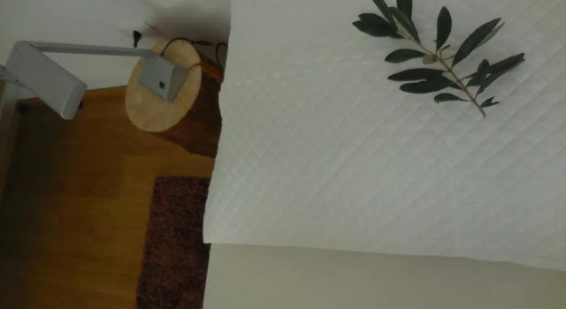 Olive Tree House, Забронировать Отель Отели Рива-дель-Гарды 3 звезды, 3*