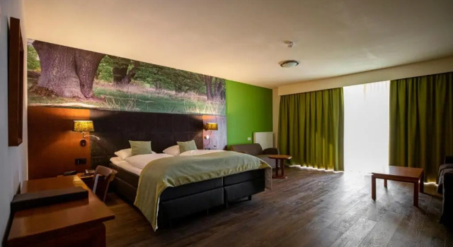 Люкс Boshotel Vlodrop