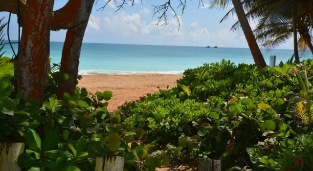 Apartament Crescent Cove 87 at Palmas
