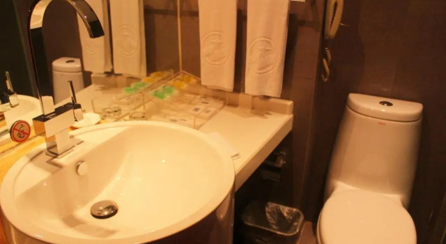 Двухместный номер Deluxe с видом на парк Beijing Continental Grand Hotel
