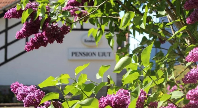 Pension Ujut, Book Hotel Bad Langensalza 