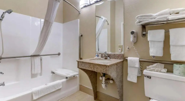 Номер Standard Comfort Inn & Suites Statesboro - University Area