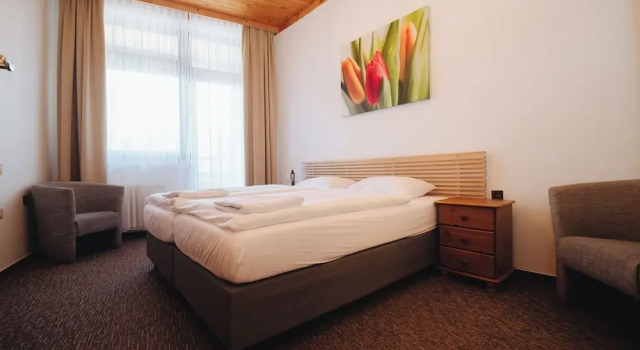 Двухместный номер Deluxe Pension Mona