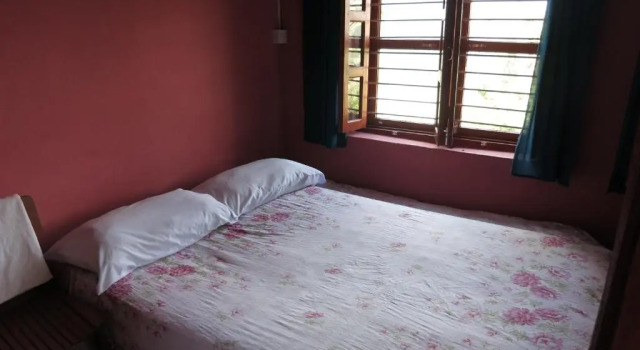 Номер Deluxe Dinesh House