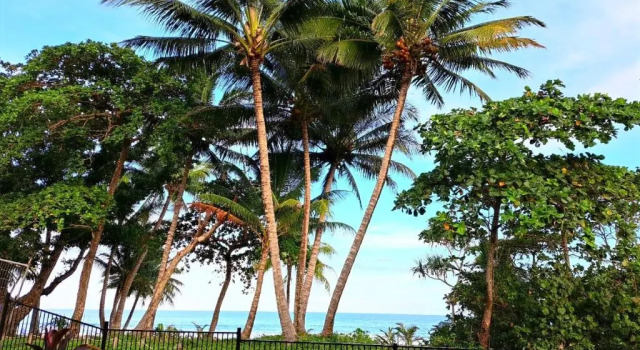 Номер Standard Seadreams Mission Beach