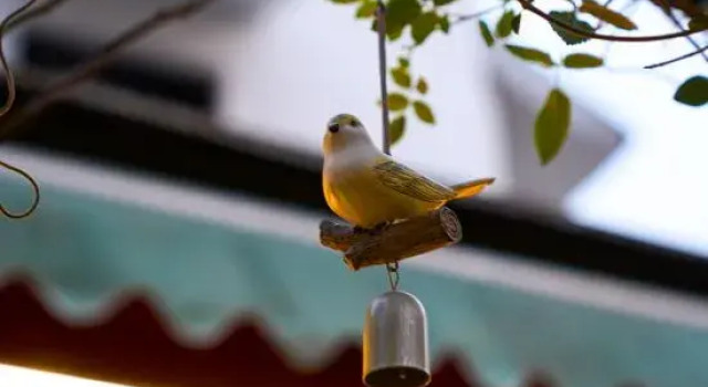 Xihu Puju Homestay (Hangzhou Taiziwan)