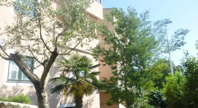 Номер Standard Accomodation Suran