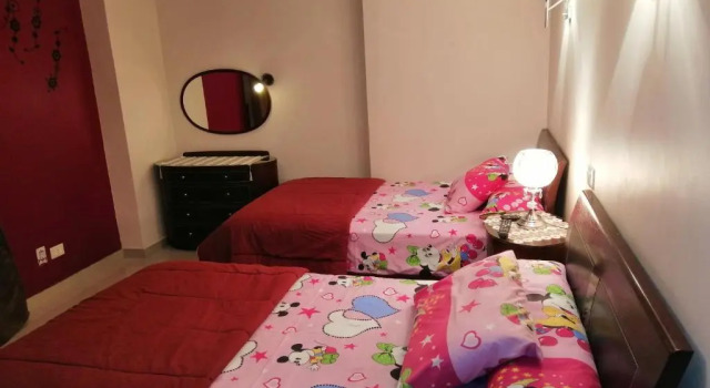 شقه مفروشه فندقيه 255م رائعه مكيفه معقمه معز الدوله, Rezervovat Hotel Nasr City 