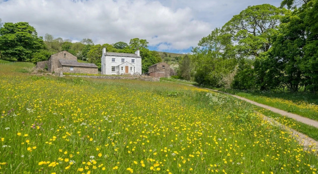 Коттедж Deluxe Hollins House