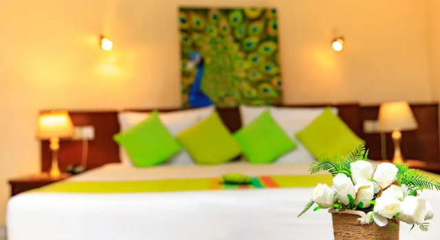 Ayurveda Spring of life Resort
