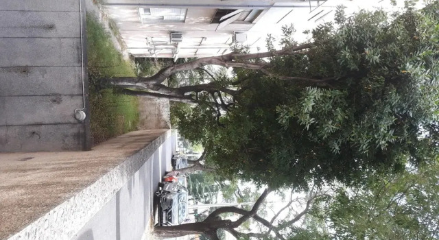 Apartment Marino, Prenota Appartamento Splitska 