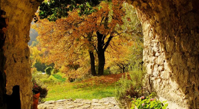 Номер Standard Agriturismo Giandriale