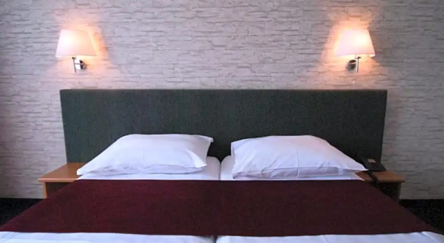 Номер Standard с видом на парк Hotel Petka